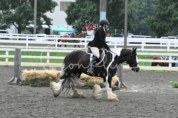 HSM_2214