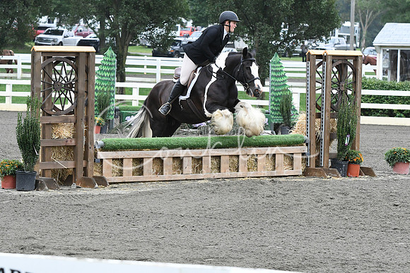 HSM_2249