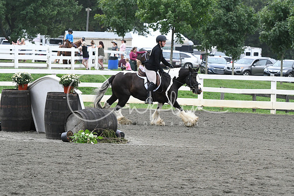 HSM_2253