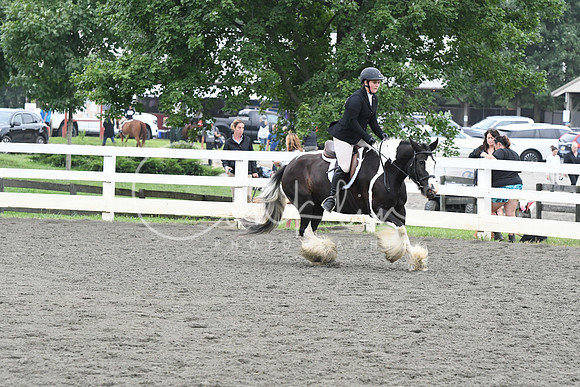 HSM_2256