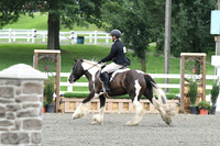 HSM_1298