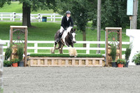 HSM_1301