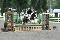 HSM_1303