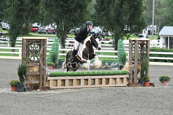 HSM_1302