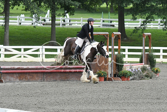 HSM_1306