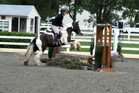 HSM_1307