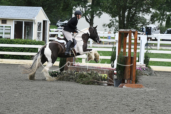 HSM_1307