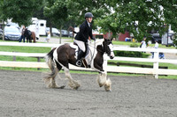HSM_1309