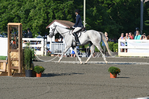 HSM_9483