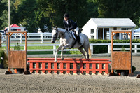 HSM_9536