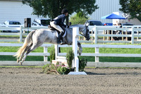 HSM_9539