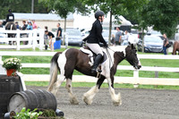 HSM_1315