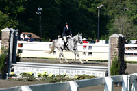 HSM_9540