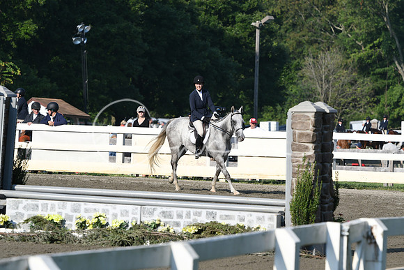HSM_9541