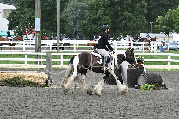 HSM_1396