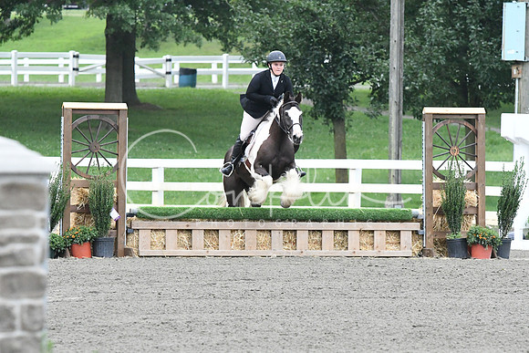 HSM_1466