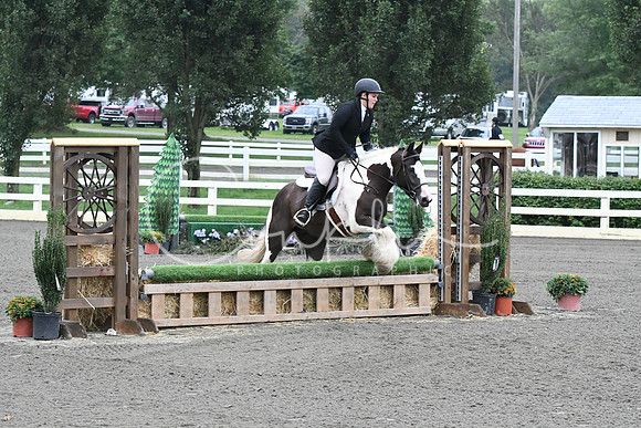 HSM_1469