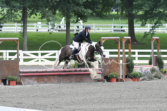 HSM_1472