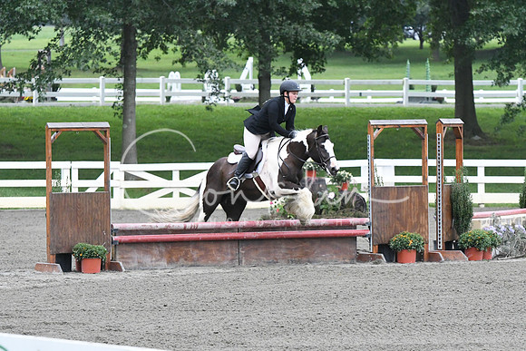 HSM_1471