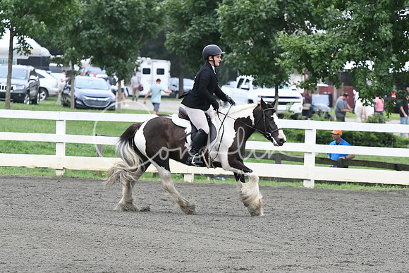 HSM_1473