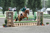 HSM_2043