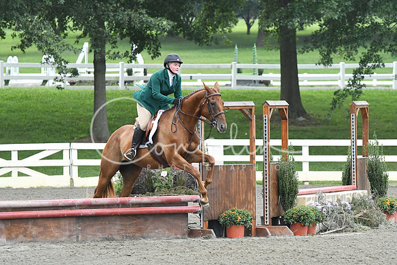HSM_2137
