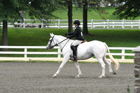 HSM_1554