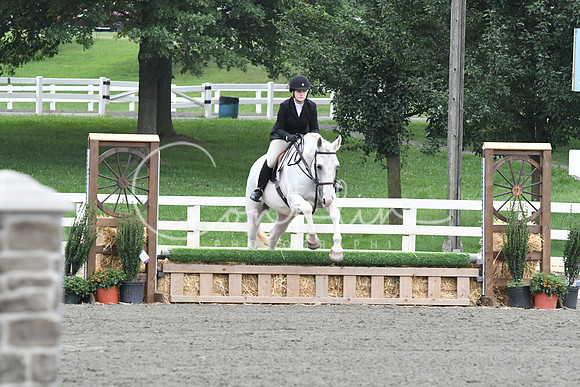 HSM_1558