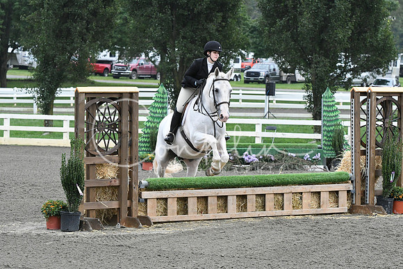 HSM_1559