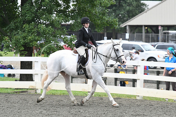 HSM_1569