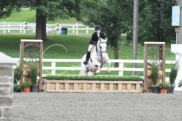 HSM_1666