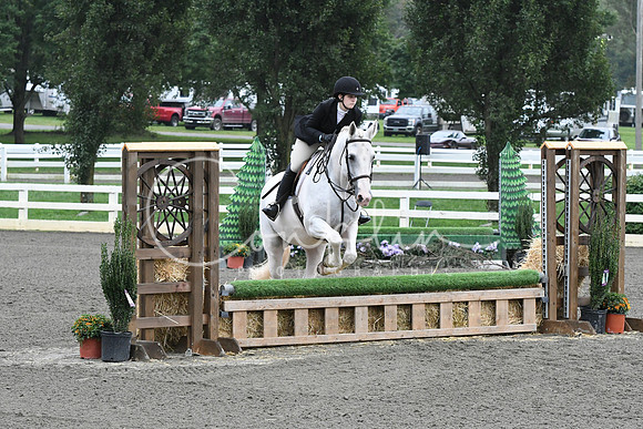 HSM_1669