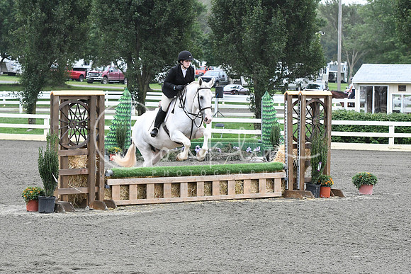 HSM_1727