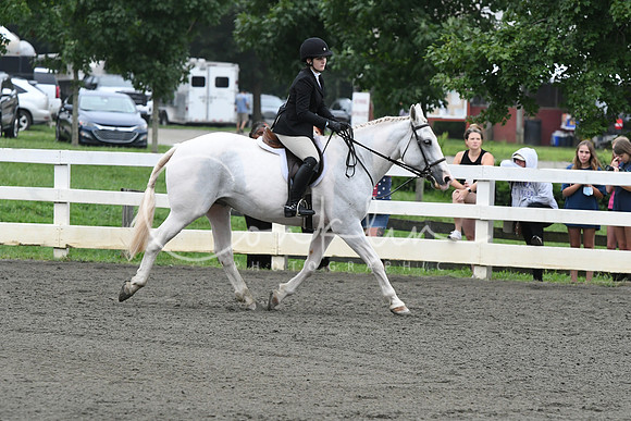 HSM_1731
