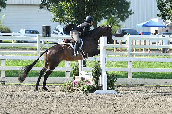 HSM_0077