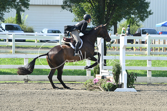 HSM_0076