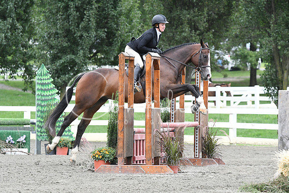 HSM_4856