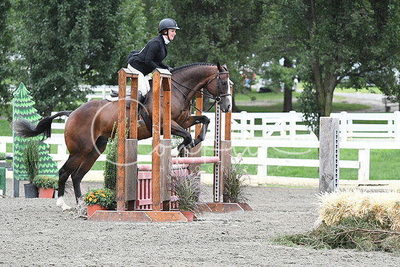 HSM_4927