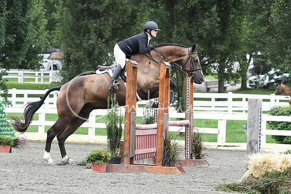 HSM_4077