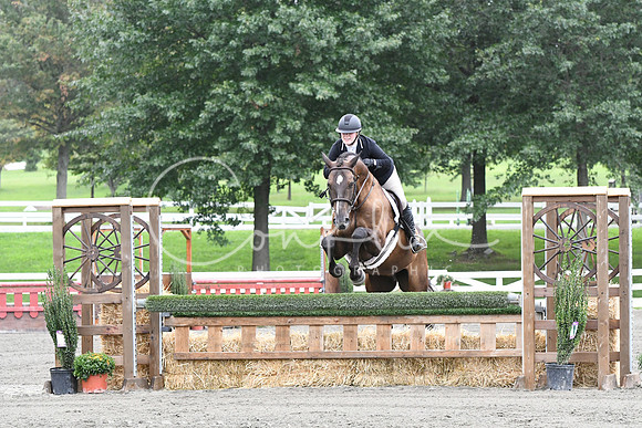 HSM_4175