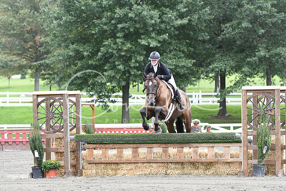 HSM_4176
