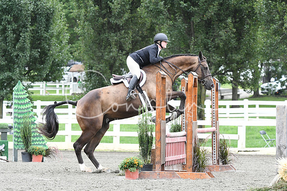 HSM_4183