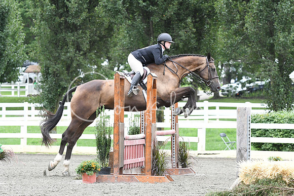 HSM_4184
