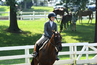 HSM_0311