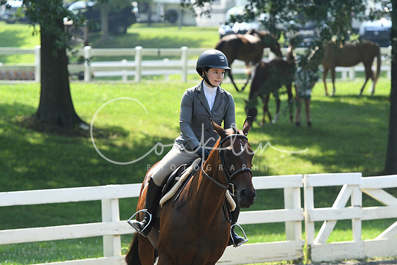 HSM_0311