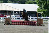 HSM_0313