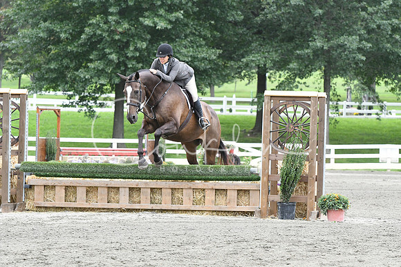 HSM_3028