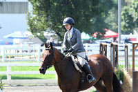 HSM_0347