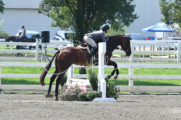 HSM_0350