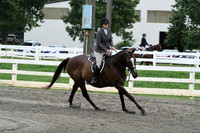 HSM_3036
